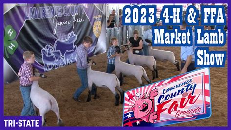 H Ffa Market Lamb Show Youtube