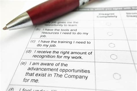 12 Question Employee Engagement Survey