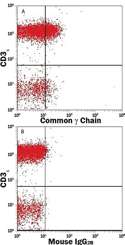 Human Common Gamma Chain Il R Gamma Apc Conjugated Antibody R D