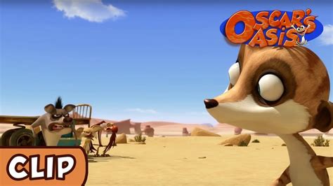 Oscars Oasis Littl Baby Meerkat Hq Funny Cartoons Youtube