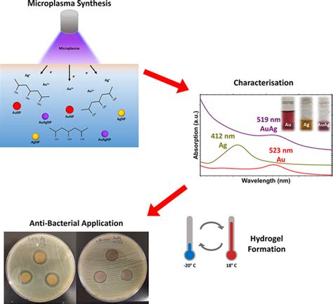 Metal Nanoparticlehydrogel Nanocomposites For Biomedical Applications