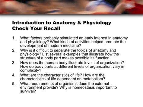 Introduction To Human Anatomy And Physiology