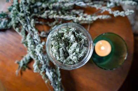 Mugwort Incense 5 Benefits For Your Health And Well Being