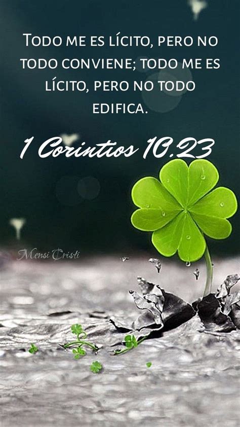 Mensajes Cristianos ️ 1 Corintios 1023 Frases Espirituales Texto