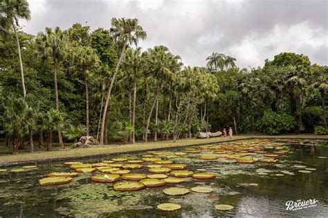 Mauritius Reisebericht Highlights Rundreise Tipps Breuers Usa