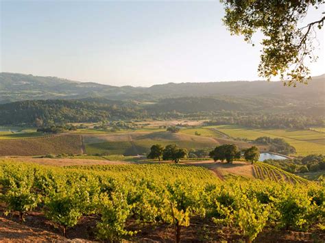 Sonoma County Wineries With Amazing Views