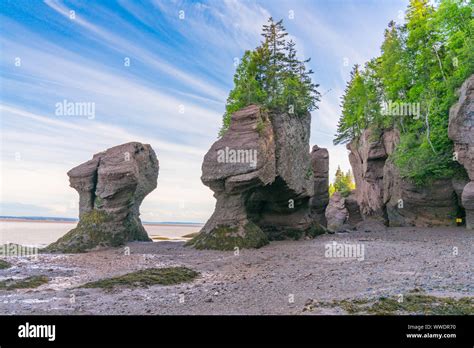 Flower Pot Formations Along The Bay Of Fundy In Hopewell Rocks Park