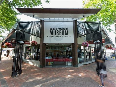 Nelson Provincial Museum Launches First Online Exhibition Uniquely Nelson