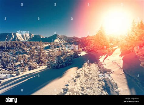 Winter landscape with setting sun Stock Photo - Alamy