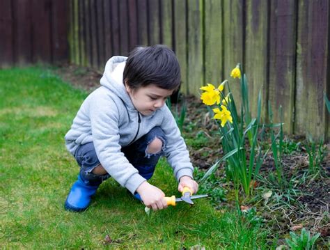 Premium Photo A Boy Using Plastic Scissors Cutting Grass In The Garden