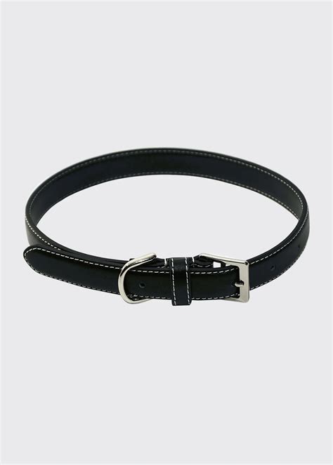 35+ Chic Designer Dog Collars To Shop For Your Pup