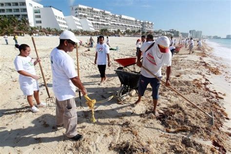 Cancún preparado para el recale de sargazo La Verdad Noticias