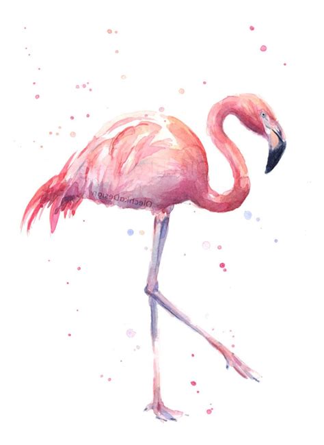 Set Of Flamingo Prints Flamingo Art Watercolor Prints Etsy