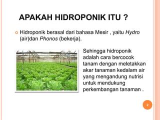 Hidroponik , solusi pertanian di perkotaan | PPT