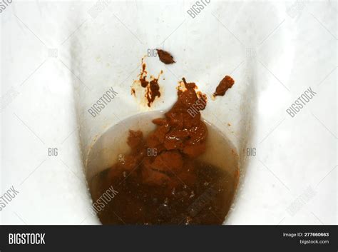 Toilet Bowl With Poop