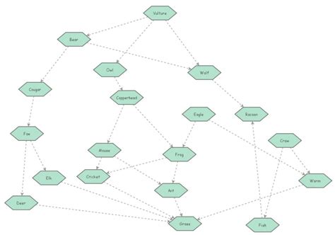 Food Web Insight Maker