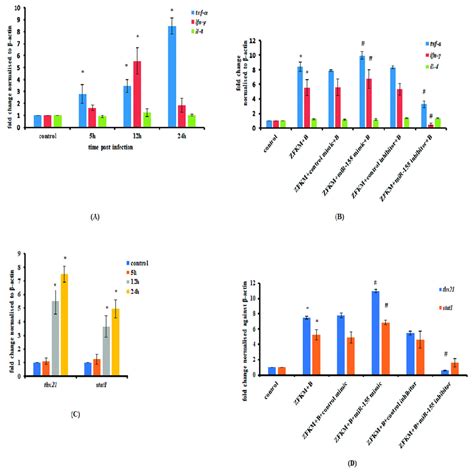 Mir 155 Induces Pro Inflammatory Responses In M Fortuitum Infected