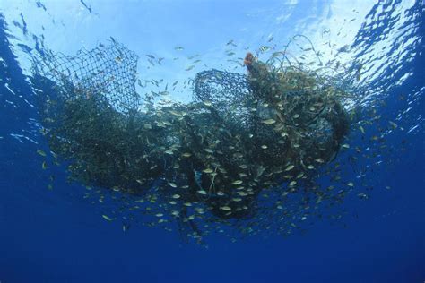 Ghost Nets Australia Oceanearth Foundation