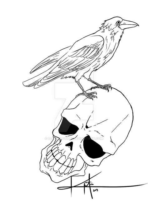 Raven Skull Drawing at GetDrawings | Free download