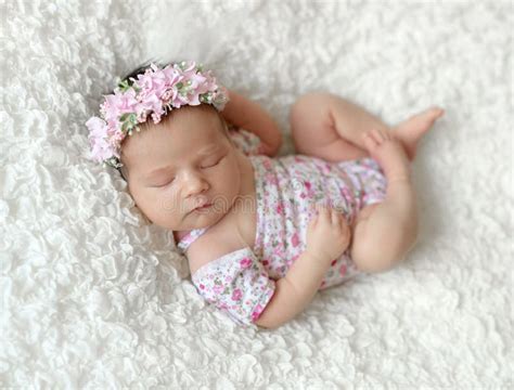 Sleeping Newborn Baby Girl Stock Image Image Of Newborn 120569461