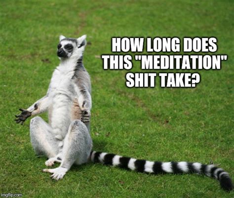 Chill Out Lemur Meme