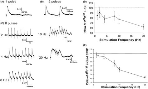 Responses To Trains Of Synaptic Inputs Reveal Depressing Synapses