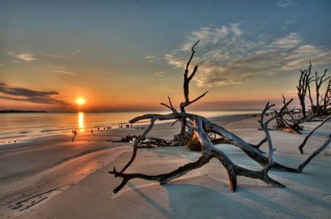 50 Gorgeous Captures Of Wood In Nature: Photo Contest Finalists ...