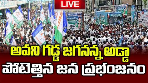 Ysrcp Bus Samajika Sadhikara Yatra Ysrcplive Avanigadda Krishna