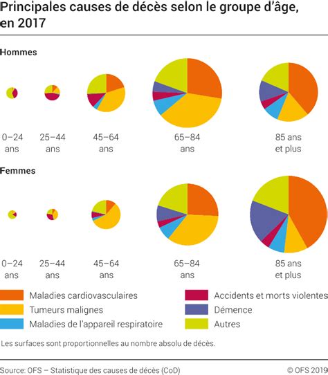 Principales Causes De Décès Selon Le Groupe Dâge 2017 Diagramme