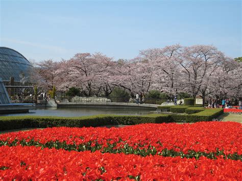 Onimusha901: Kyoto Botanical Garden