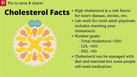 How To Successfully Lower Your Ldl Cholesterol