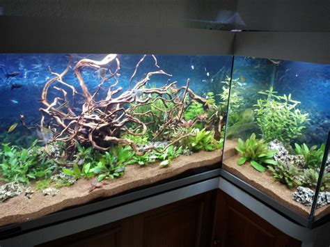 Montaje E Instalaci N Acuario Plantado Forma De L Aquarium Centrofama