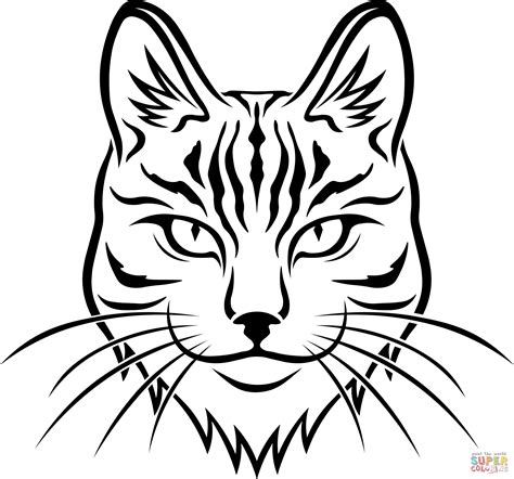 cat face coloring page  printable coloring pages