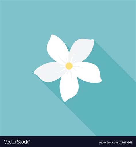 Jasmine Flower Vector Png