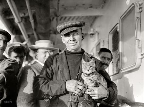 Surprising Stories About The Indispensible Ships Cat Baxterboo