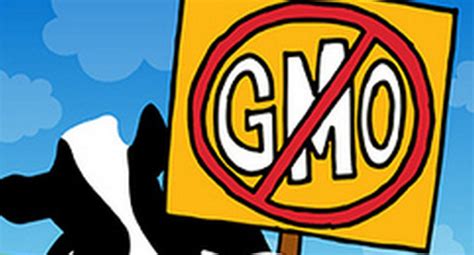 House Approves Federal GMO Labeling Bill