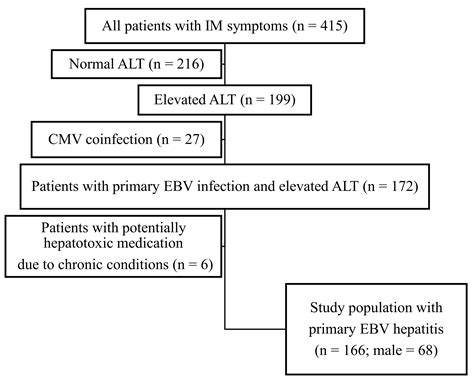 Vaccines Free Full Text Epstein Barr Virus Hepatitis—a Mild