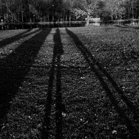 project  shadows karen gourlay foundations  photography