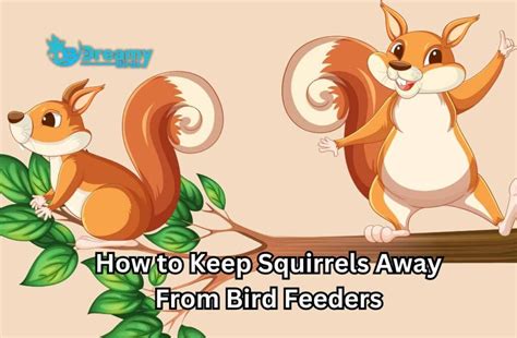 10 Tips On How To Keep Squirrels Away From Bird Feeders