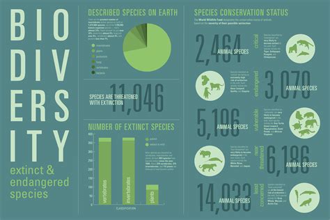 Biodiversity Infographic Poster On Behance