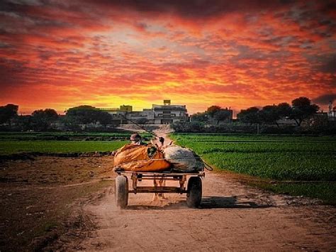 This Telangana Village No Evening Only Morning Afternoon And