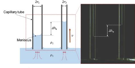 Figure 3 From Effects Of Tube Radius And Surface Tension On Capillary