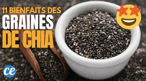 11 Bienfaits Incroyables des Graines De Chia Prouvés Scientifiquement