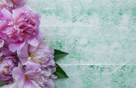 Background with pink peonies 11608015 Stock Photo at Vecteezy