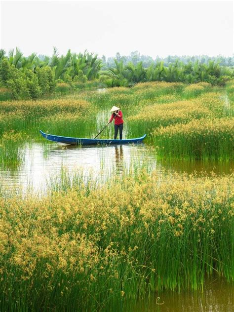 Mekong Delta - Vietnam's Capital of Coconuts and Canals | Travel Blog