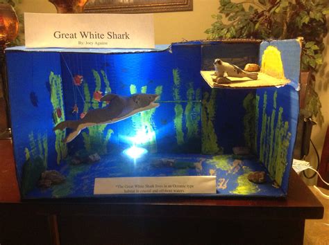 Great White Shark Habitat Diorama – NBKomputer