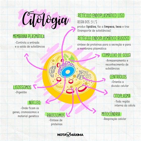 Mapa Mental De Citologia BRAINCP