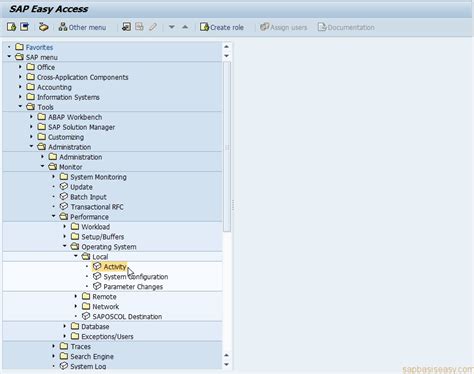 Monitoring Sap Operating System Sap Basis Easy