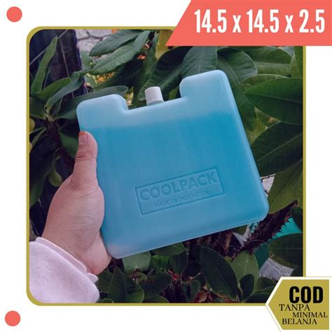 Jual ALAT PEMBEKU IKAN HARGA ICE PACK UNTUK COOLER BOX ICE PACK