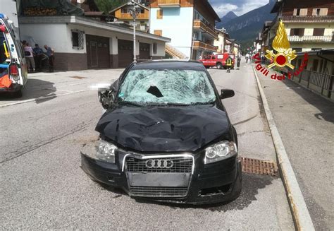 Incidente Santo Stefano Di Cadore Il Procuratore Gesto Volontario